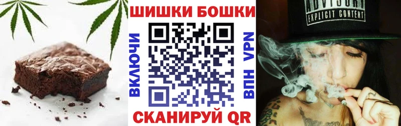 MEGA маркетплейс  Александровское  Canna-Cookies конопля  где можно купить наркотик 