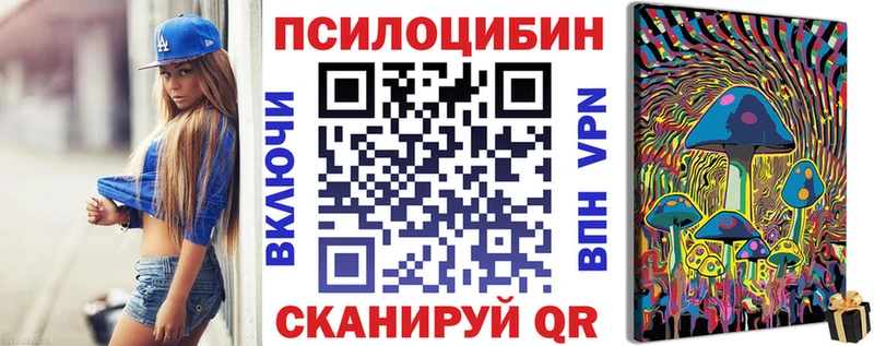 купить  сайты  Александровское  Псилоцибиновые грибы Cubensis 